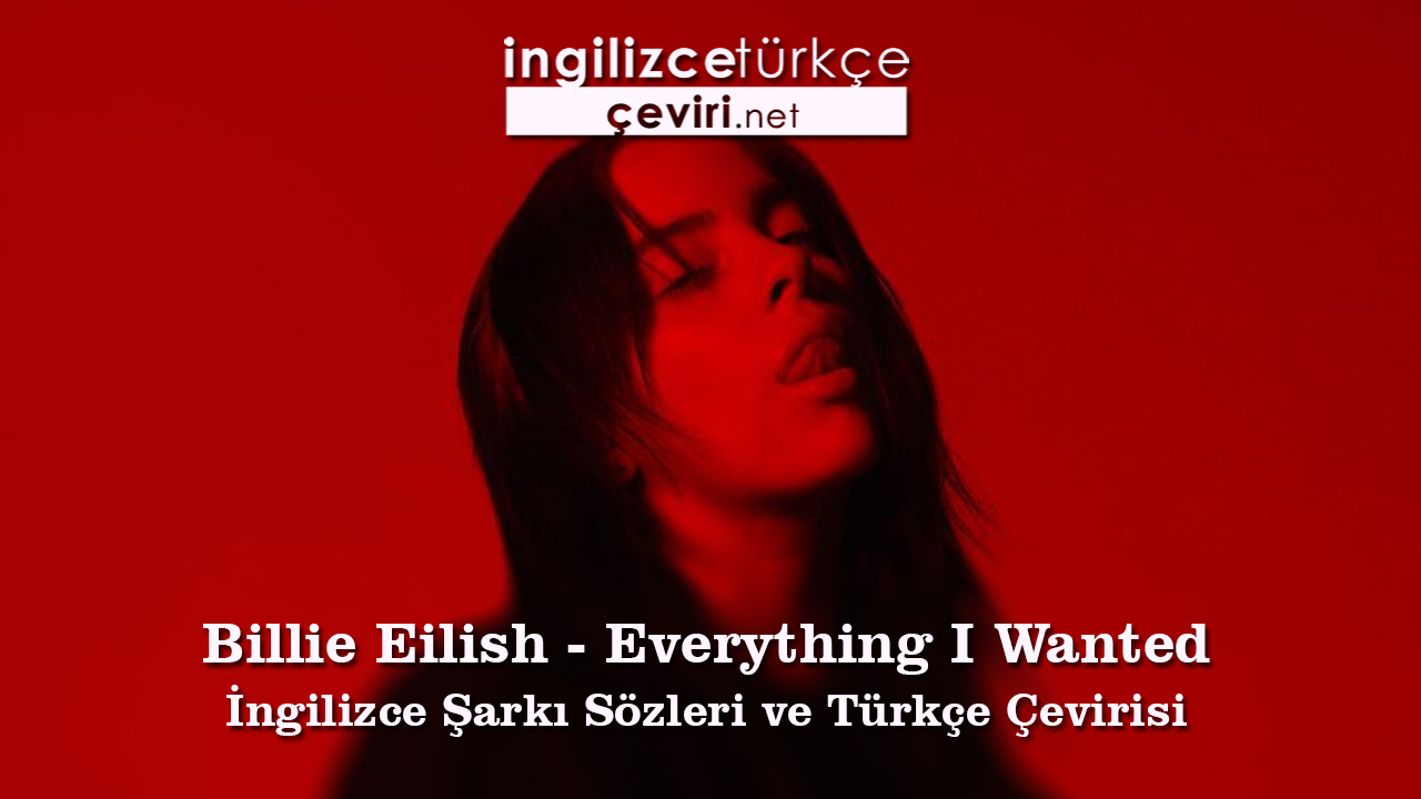 Перевод everything i wanted billie eilish