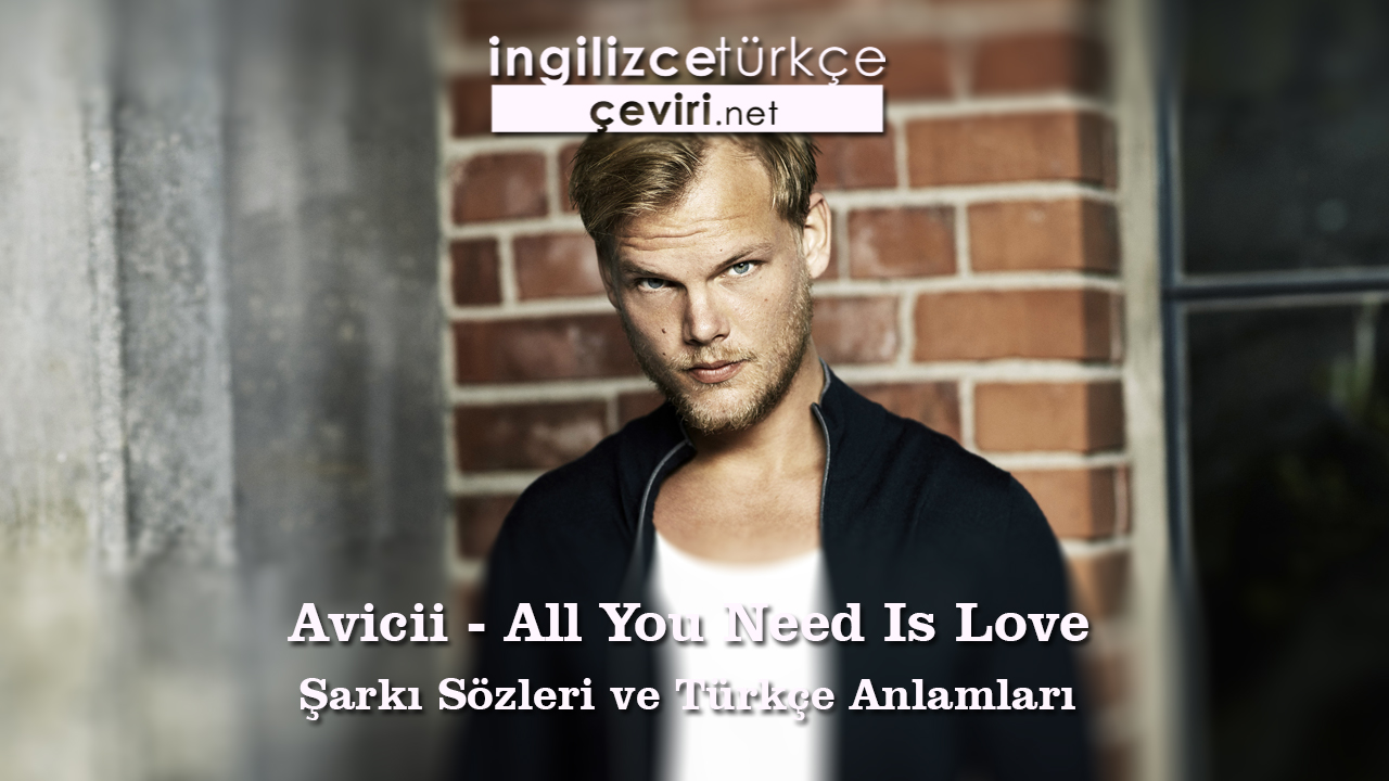 Avicii - All You Need Is Love Şarkı Sözleri ve Türkçe Anlamları