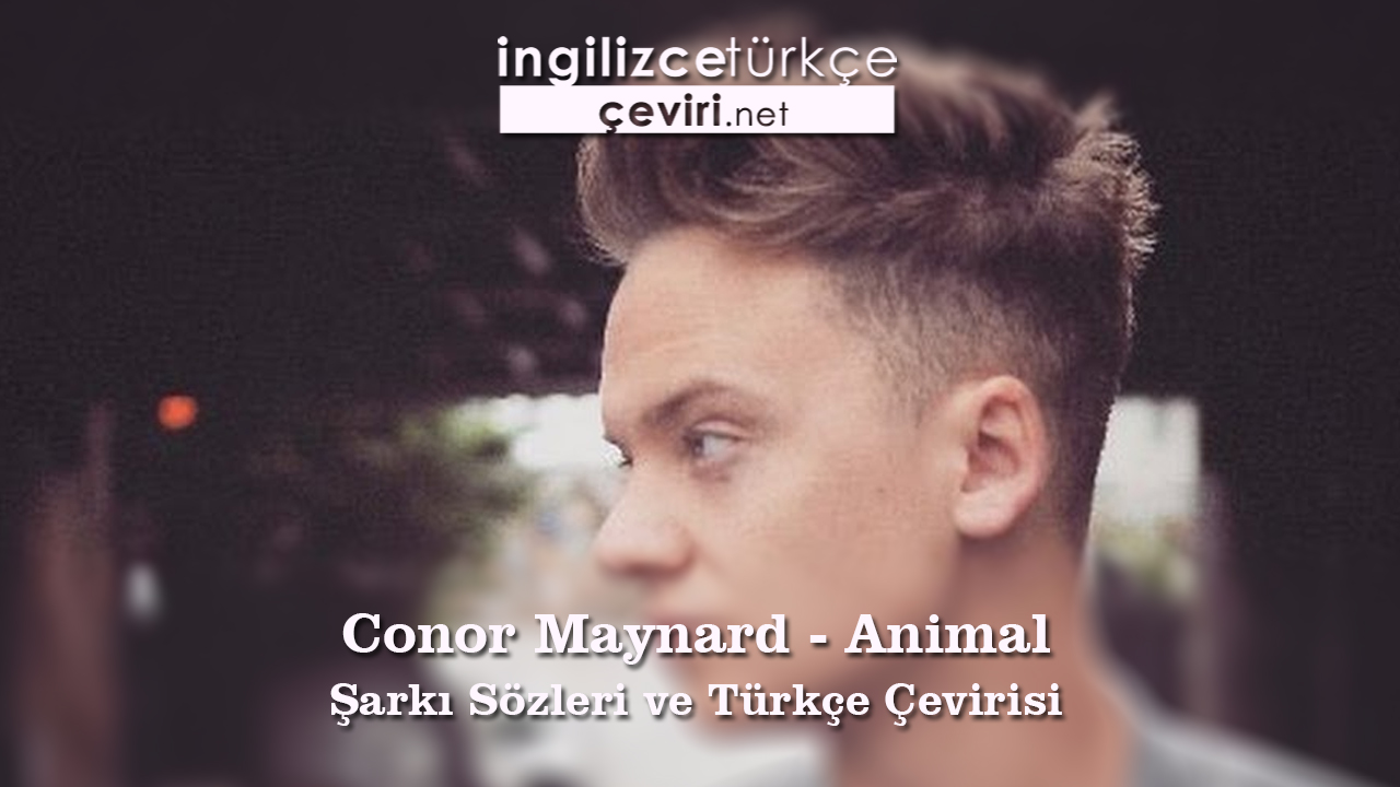 Conor Maynard - Animal Şarkı Sözleri ve Türkçe Çevirisi