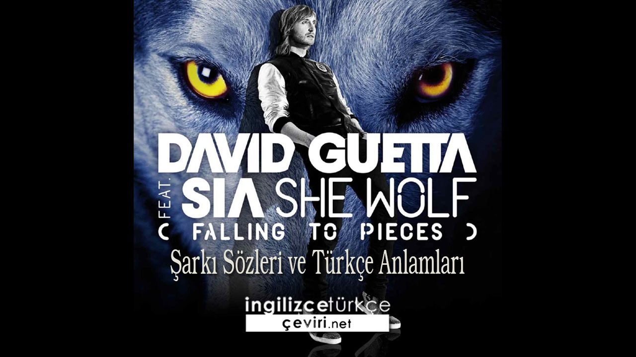 David Guetta - She Wolf (Falling To Pieces) ft. Sia  Şarkı Sözleri ve Türkçe Anlamları