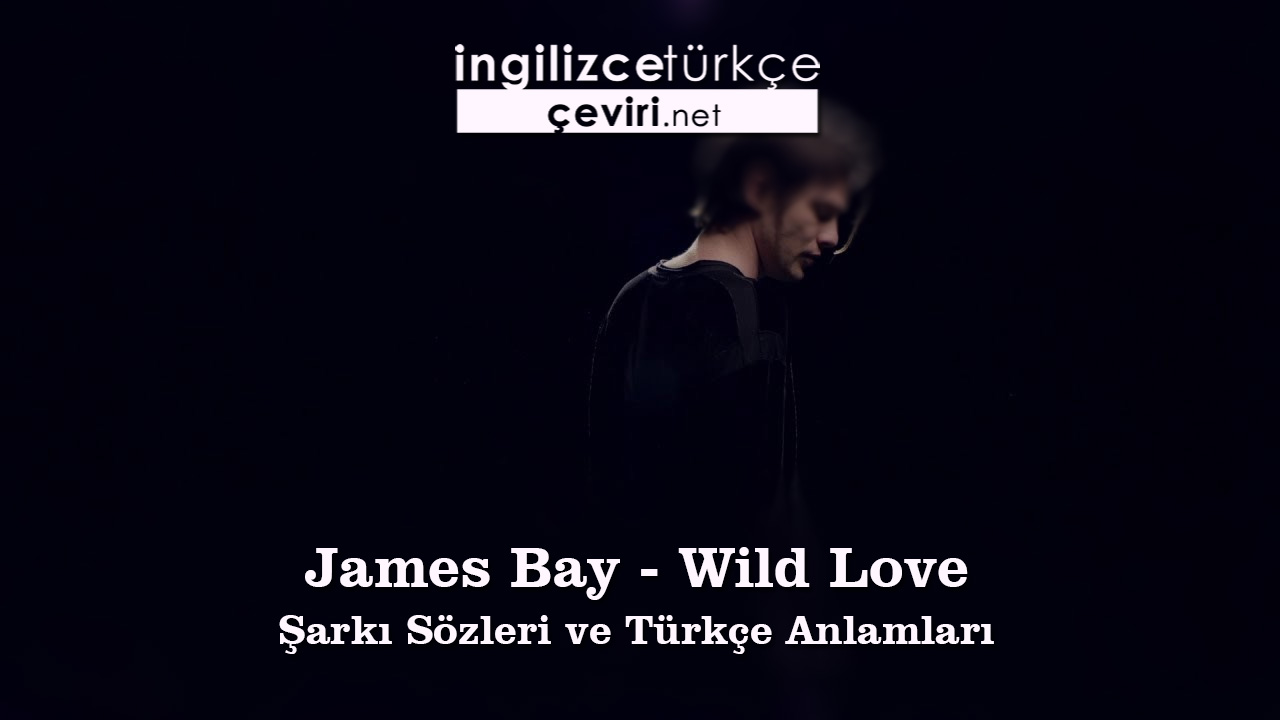 James Bay - Wild Love Şarkı Sözleri ve Türkçe Anlamları
