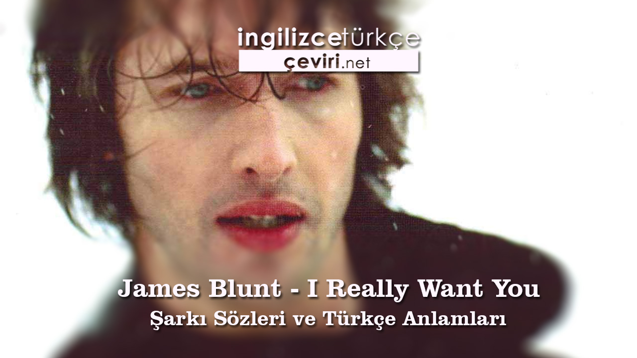 James Blunt - I Really Want You Şarkı Sözleri ve Türkçe Anlamları