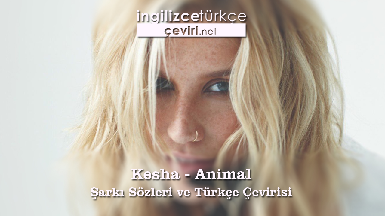 Kesha – Animal Şarkı Sözleri ve Türkçe Çevirisi