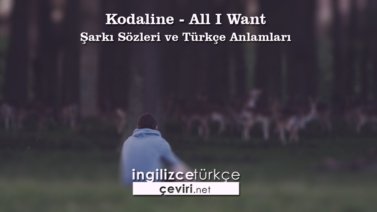 Kodaline - All I Want Şarkı Sözleri ve Türkçe Anlamları