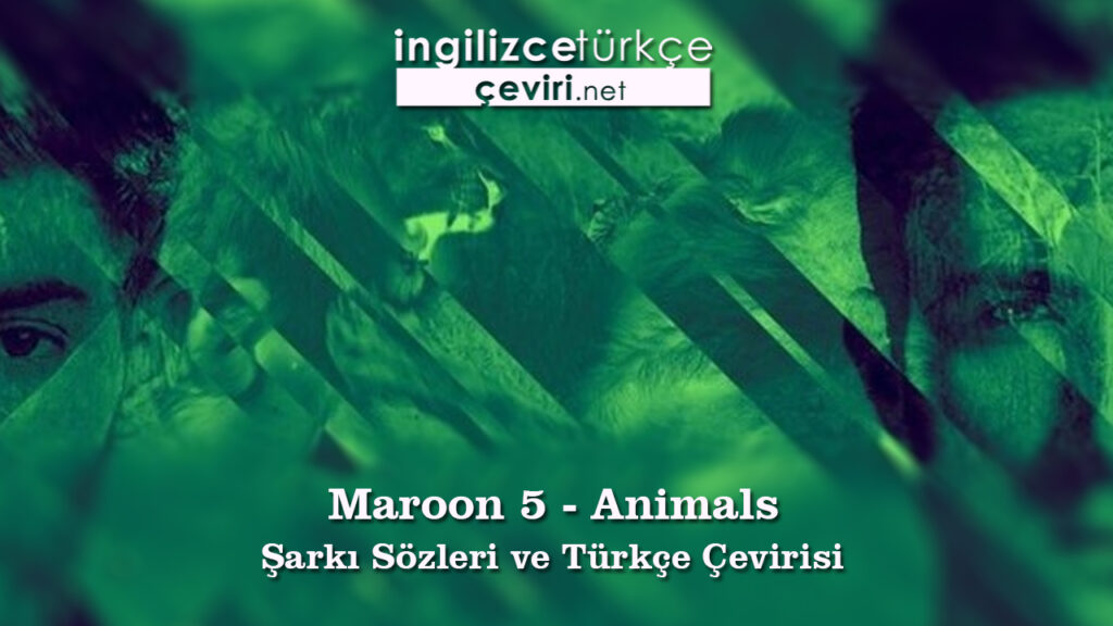 Maroon 5 – Animals Şarkı Sözleri ve Türkçe Çevirisi | Metin, Web Sayfa