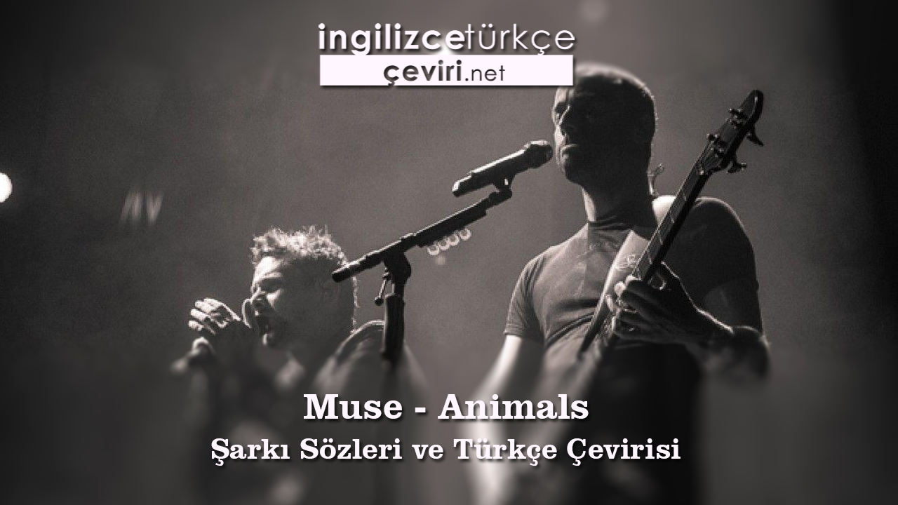 Muse - Animals Şarkı Sözleri ve Türkçe Çevirisi