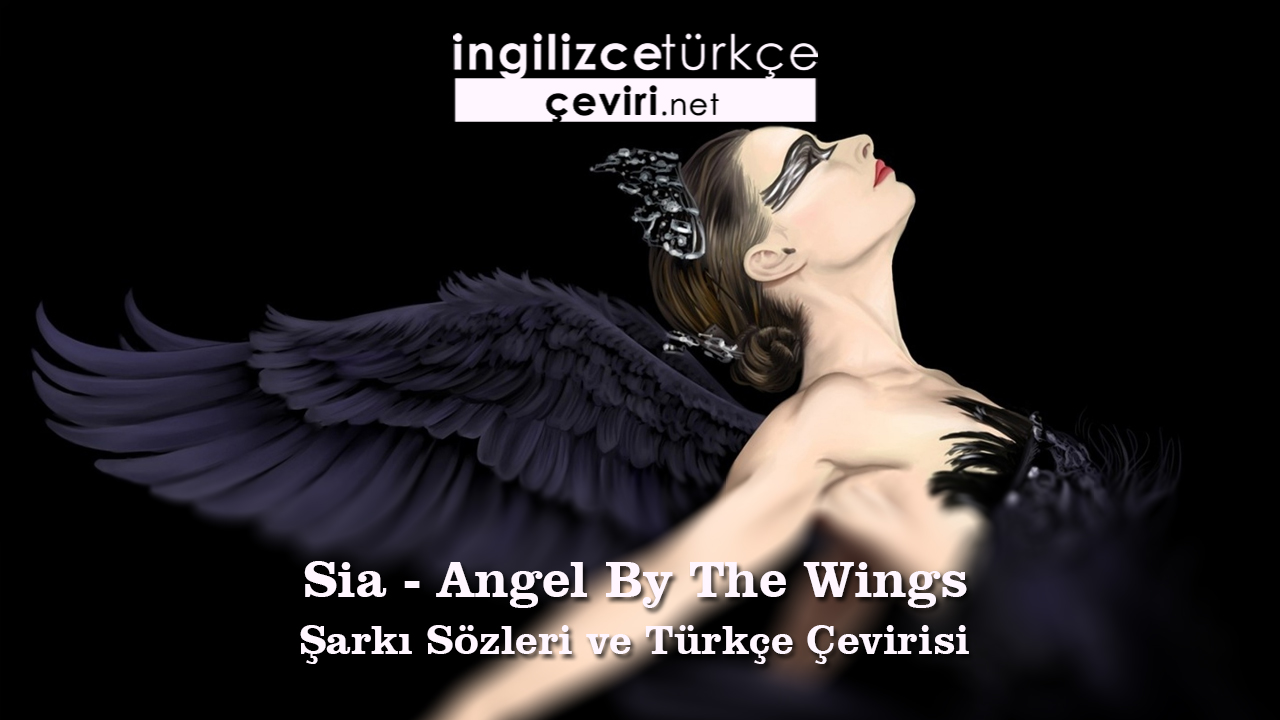 Sia - Angel By The Wings Şarkı Sözleri ve Türkçe Çevirisi